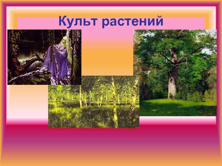 Культ растений 