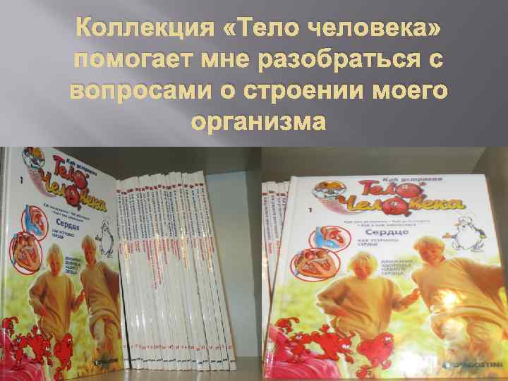 Коллекция «Тело человека» помогает мне разобраться с вопросами о строении моего организма 