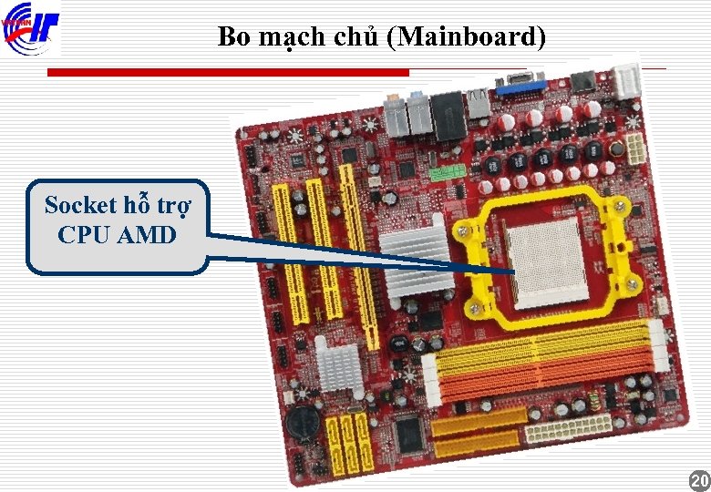 Bo mạch chủ (Mainboard) Socket hỗ trợ CPU AMD 20 