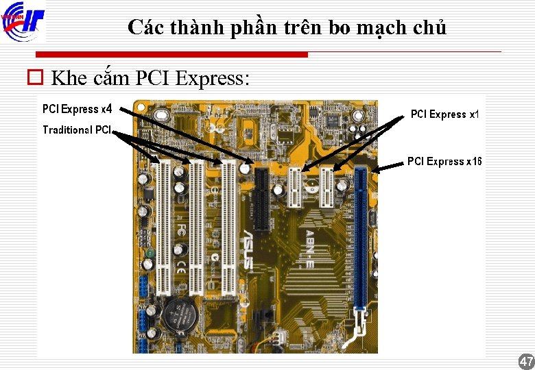 Các thành phần trên bo mạch chủ o Khe cắm PCI Express: 47 