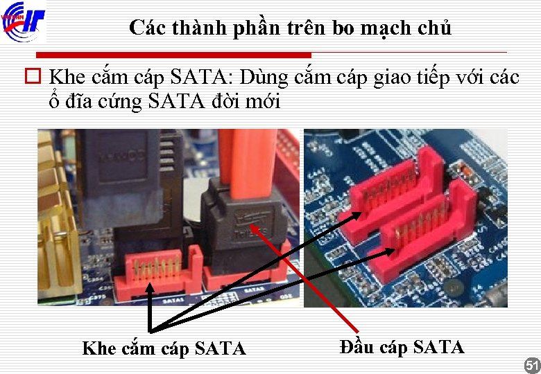Các thành phần trên bo mạch chủ o Khe cắm cáp SATA: Dùng cắm