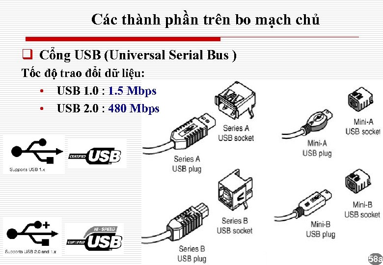 Các thành phần trên bo mạch chủ q Cổng USB (Universal Serial Bus )