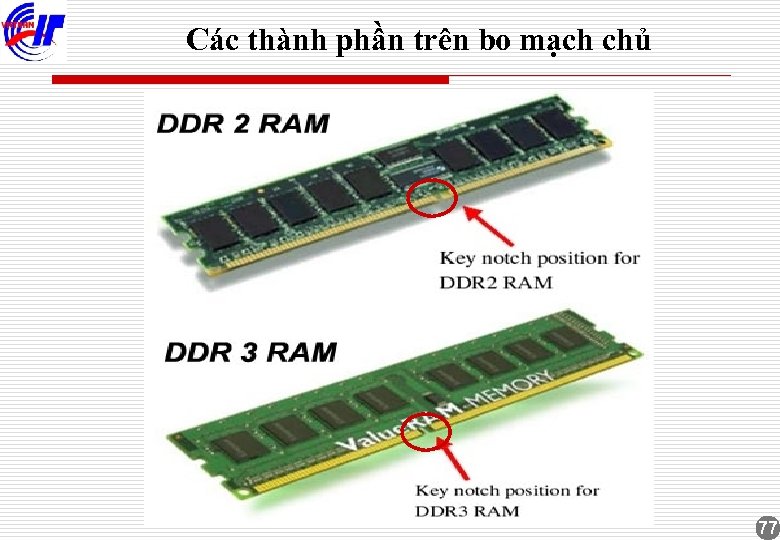 Các thành phần trên bo mạch chủ 77 
