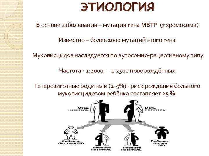 ЭТИОЛОГИЯ В основе заболевания – мутация гена МВТР (7 хромосома) Известно – более 1000