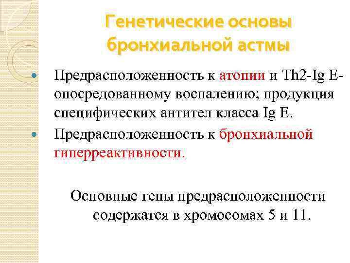 Генетические основы бронхиальной астмы Предрасположенность к атопии и Th 2 -Ig Eопосредованному воспалению; продукция