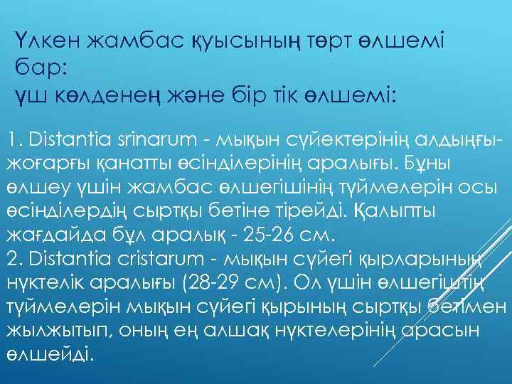 Үлкен жамбас қуысының төрт өлшемі бар: үш көлденең және бір тік өлшемі: 1. Distantia