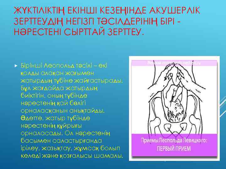 ЖҮКТІЛІКТІҢ ЕКІНШІ КЕЗЕҢІНДЕ АКУШЕРЛІК ЗЕРТТЕУДІҢ НЕГІЗГІ ТӘСІЛДЕРІНІҢ БІРІ НӘРЕСТЕНІ СЫРТТАЙ ЗЕРТТЕУ. Бірінші Леопольд тәсілі