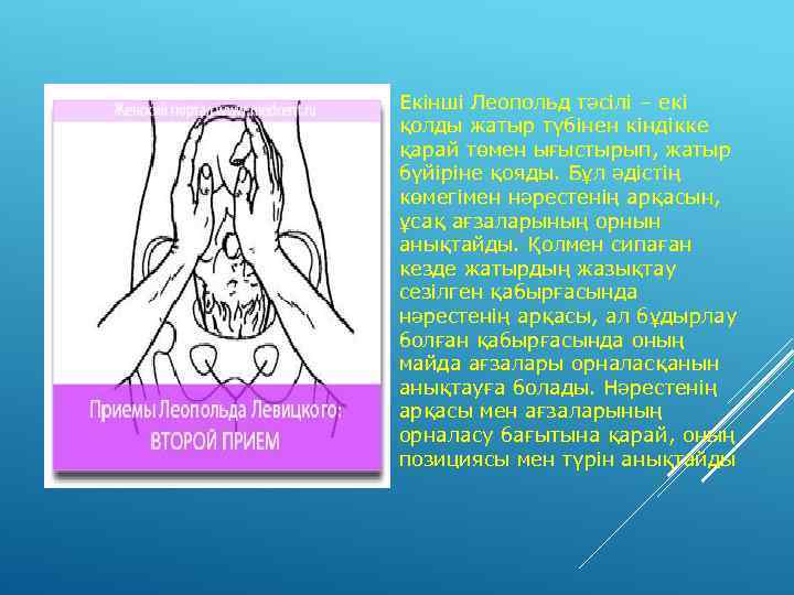 Екінші Леопольд тәсілі – екі қолды жатыр түбінен кіндікке қарай төмен ығыстырып, жатыр бүйіріне