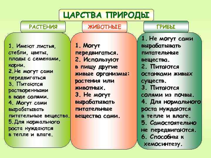 ЦАРСТВА ПРИРОДЫ РАСТЕНИЯ 1. Имеют листья, с т еб л и , ц в