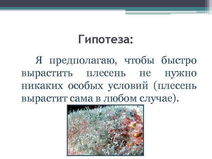 Гипотеза: Я предполагаю, чтобы быстро вырастить плесень не нужно никаких особых условий (плесень вырастит