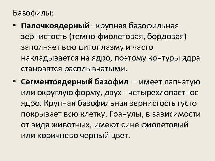Базофилы: • Палочкоядерный –крупная базофильная зернистость (темно-фиолетовая, бордовая) заполняет всю цитоплазму и часто накладывается