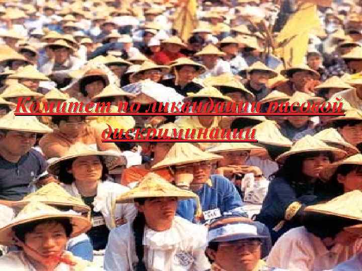 Комитет по ликвидации расовой дискриминации 