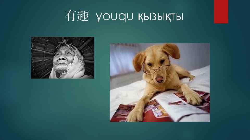 有趣 youqu қызықты 