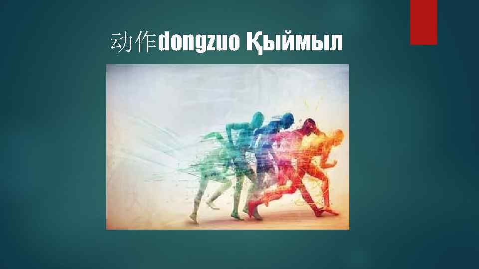 动作dongzuo қыймыл 