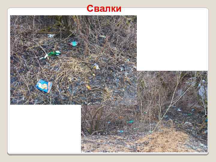 Свалки 