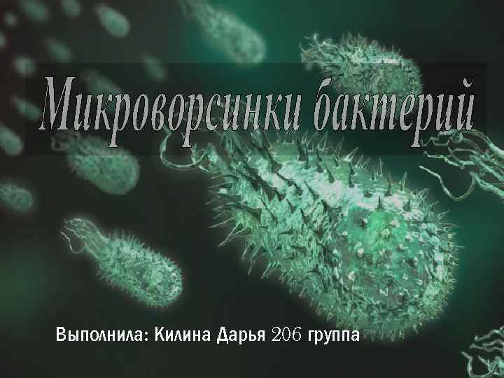 Выполнила: Килина Дарья 206 группа 