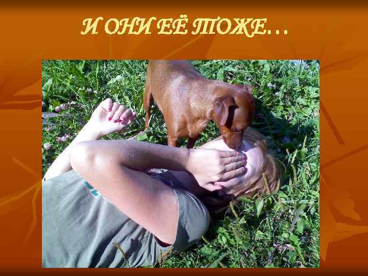 И ОНИ ЕЁ ТОЖЕ… 