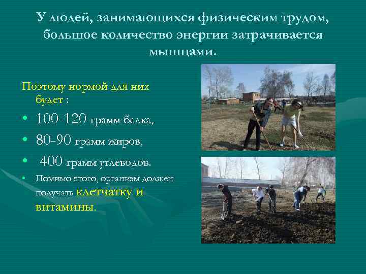 У людей, занимающихся физическим трудом, большое количество энергии затрачивается мышцами. Поэтому нормой для них