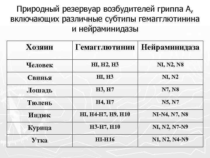 Природный резервуар возбудителей гриппа А, включающих различные субтипы гемагглютинина и нейраминидазы Хозяин Гемагглютинин Нейраминидаза