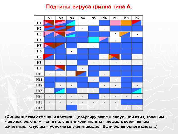 Подтипы вируса гриппа типа А. (Синим цветом отмечены подтипы циркулирующие в популяции птиц, красным