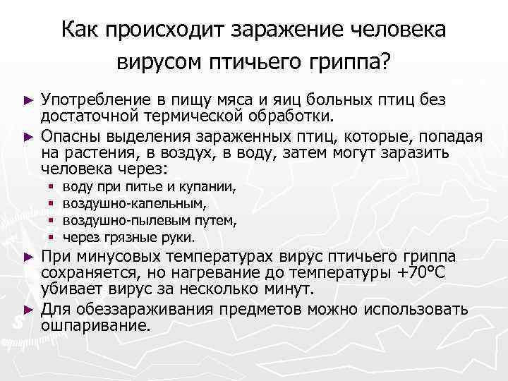 Как происходит заражение человека вирусом птичьего гриппа? Употребление в пищу мяса и яиц больных