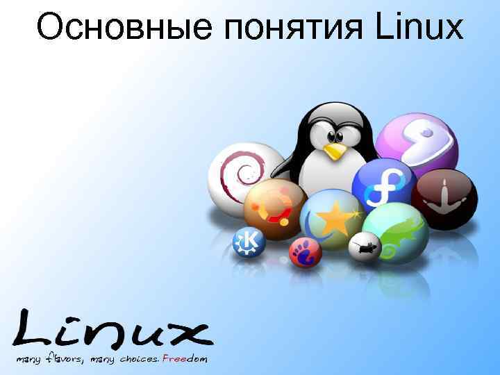 Основные понятия Linux 