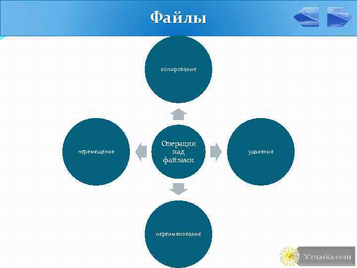 Файлы копирование перемещение Операции над файлами переименование удаление 