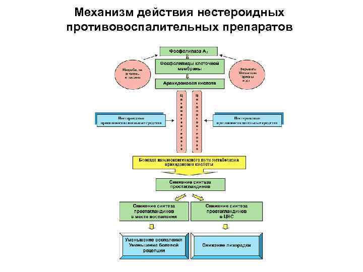 Механизм противовоспалительного действия нестероидных средств. Цитокины механизм действия. Противовоспалительные цитокины механизм действия. Механизм действия противовоспалительных цитокинов. Механизм действия нестероидных гормонов.