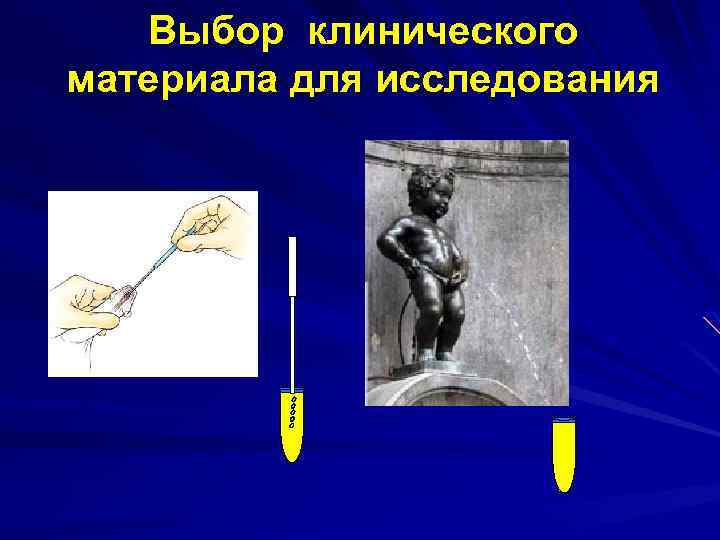 Выбор клинического материала для исследования 