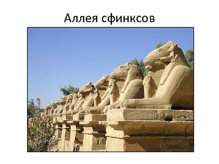 Аллея сфинксов 
