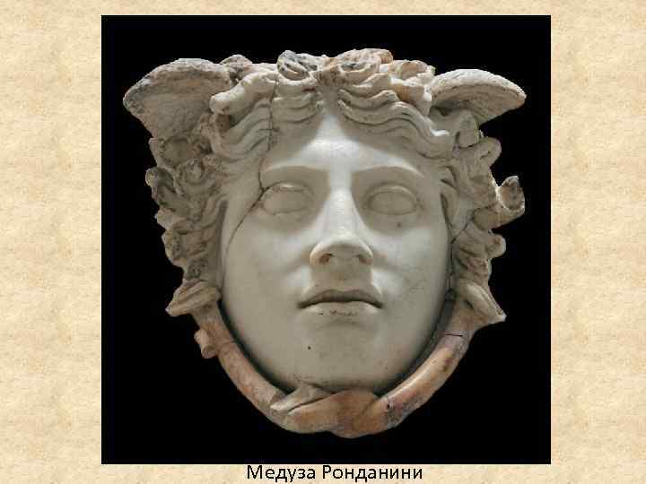  Медуза Ронданини 