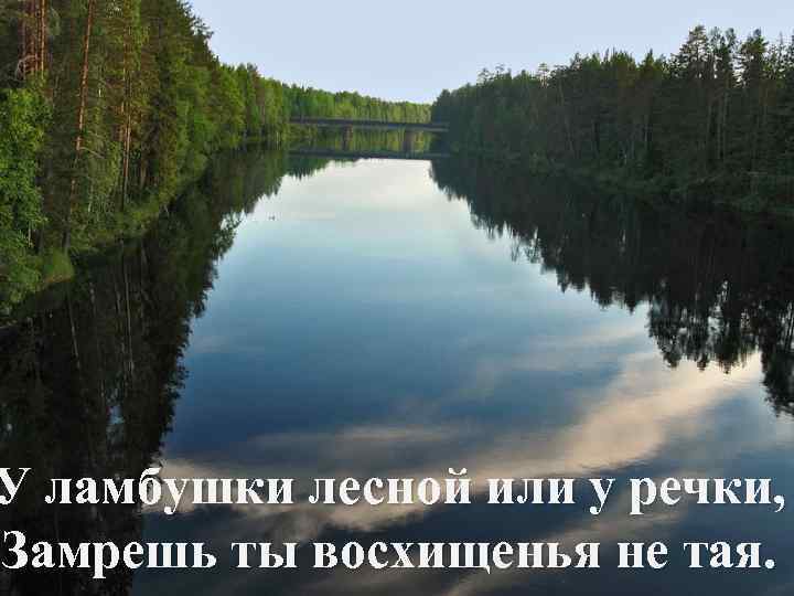 У ламбушки лесной или у речки, Замрешь ты восхищенья не тая. 