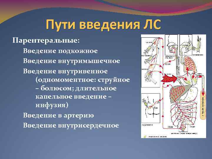 Пути введения ЛС Парентеральные: Введение подкожное Введение внутримышечное Введение внутривенное (одномоментное: струйное – болюсом;