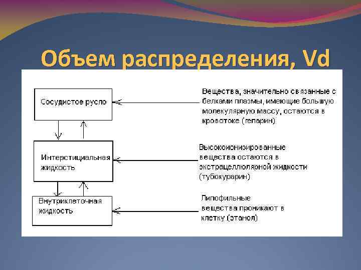 Объем распределения, Vd 
