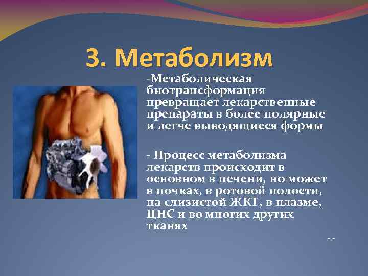 3. Метаболизм -Метаболическая биотрансформация превращает лекарственные препараты в более полярные и легче выводящиеся формы