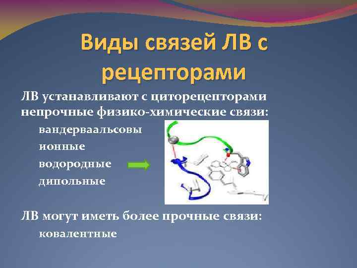 Виды связей ЛВ с рецепторами ЛВ устанавливают с циторецепторами непрочные физико-химические связи: вандерваальсовы ионные