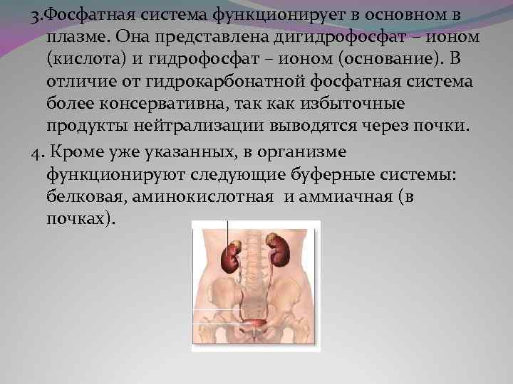 3. Фосфатная система функционирует в основном в плазме. Она представлена дигидрофосфат – ионом (кислота)