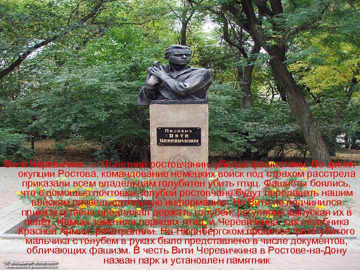 Витя Черевичкин — 16 -летний ростовчанин, убитый фашистами. Во время окупции Ростова, командование немецких