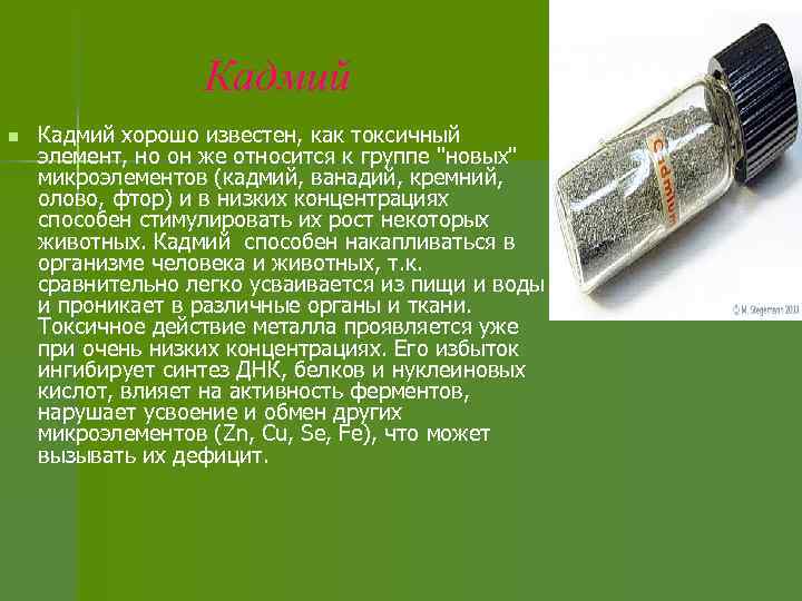 Кадмий n Кадмий хорошо известен, как токсичный элемент, но он же относится к группе