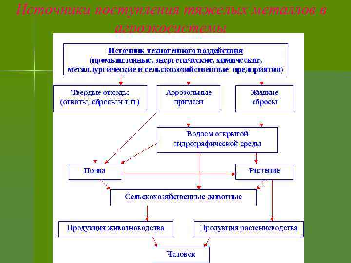 Источники поступления тяжелых металлов в агроэкосистемы 