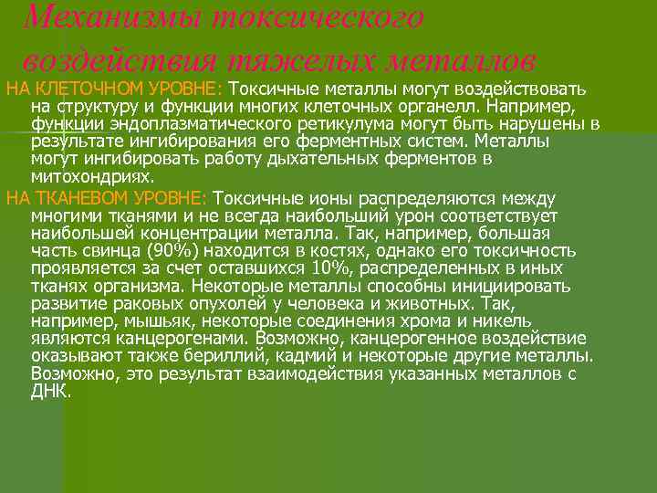 Механизмы токсического воздействия тяжелых металлов НА КЛЕТОЧНОМ УРОВНЕ: Токсичные металлы могут воздействовать на структуру