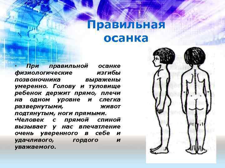 Правильная осанка • При правильной осанке физиологические изгибы позвоночника выражены умеренно. Голову и туловище