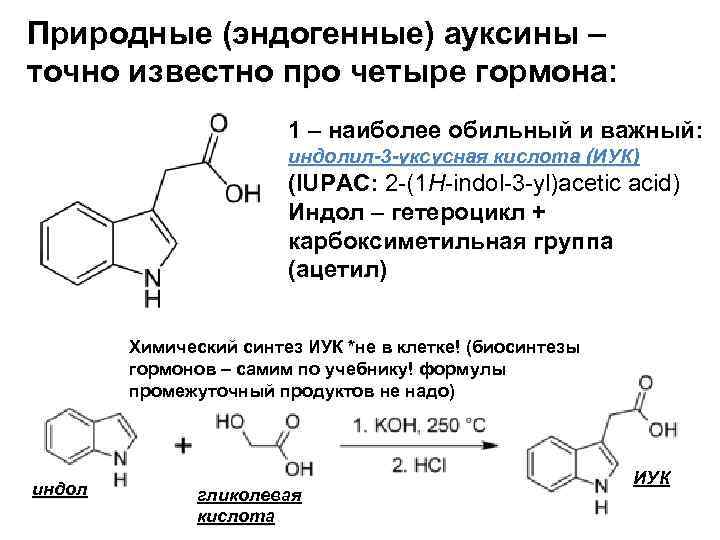 Природные (эндогенные) ауксины – точно известно про четыре гормона: 1 – наиболее обильный и