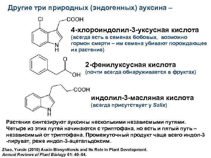 Другие три природных (эндогенных) ауксина – 4 -хлороиндолил-3 -уксусная кислота (всегда есть в семенах