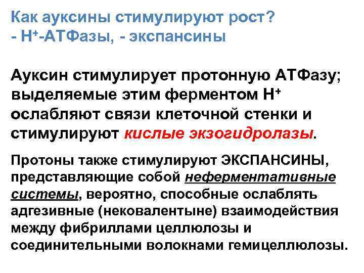 Как ауксины стимулируют рост? - Н+-АТФазы, - экспансины Ауксин стимулирует протонную АТФазу; выделяемые этим