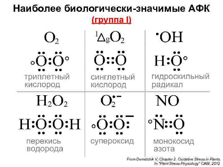 Наиболее биологически-значимые АФК (группа I) From Demidchik V, Chapter 2. Oxidative Stress in Plants.