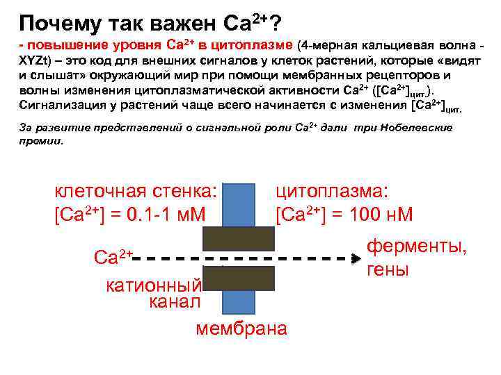 Уровень са