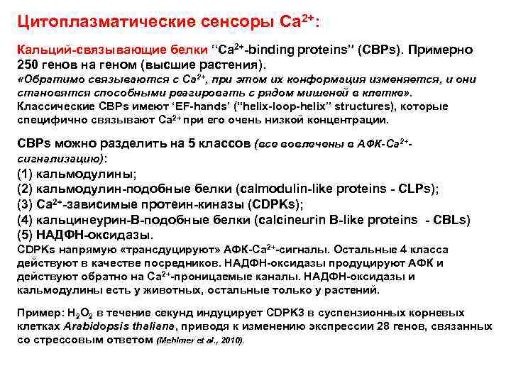Цитоплазматические сенсоры Са 2+: Кальций-связывающие белки “Ca 2+-binding proteins” (CBPs). Примерно 250 генов на