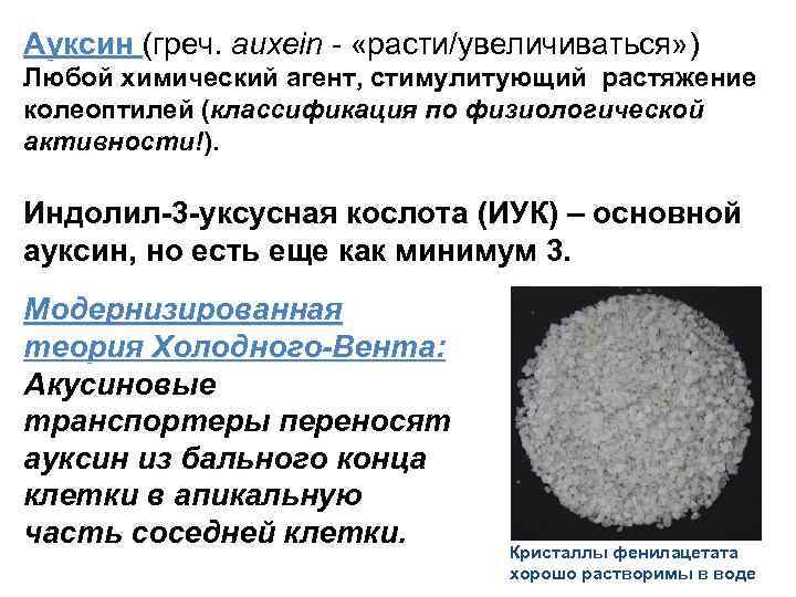 Ауксин (греч. auxein - «расти/увеличиваться» ) Ауксин Любой химический агент, стимулитующий растяжение колеоптилей (классификация