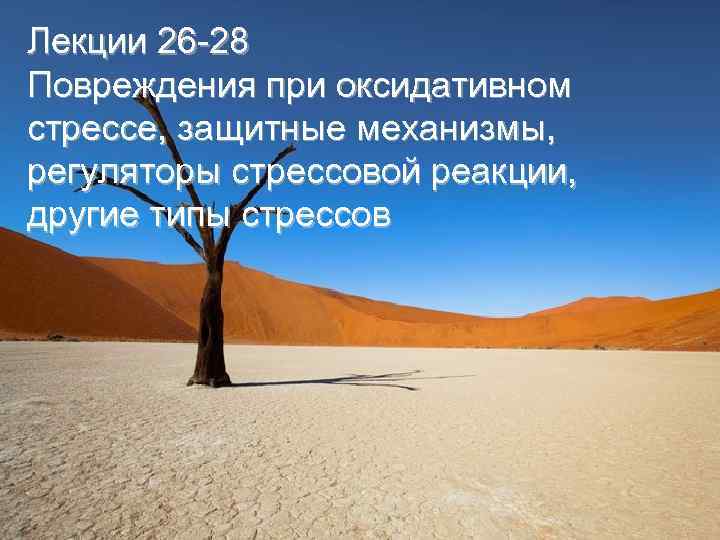 Лекции 26 -28 Повреждения при оксидативном стрессе, защитные механизмы, регуляторы стрессовой реакции, другие типы